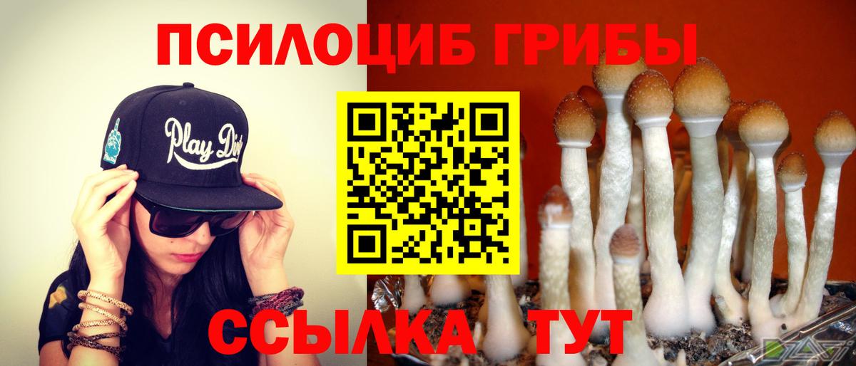 Псилоцибиновые грибы MAGIC MUSHROOMS  Галлюциногенные грибы ЛСД  Керчь  Вход с VPN 
